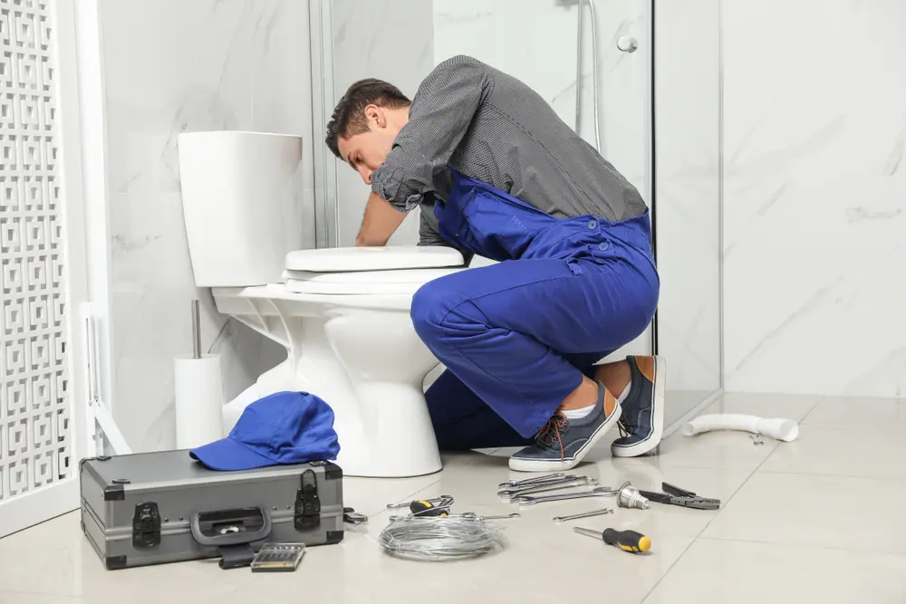 Toilet Installation in Madison
